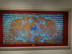 -上海昆虫博物馆