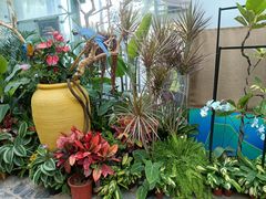 -郑州植物园