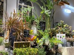 -弗劳尔花艺坊(龙涛店)