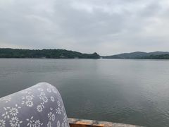 -西湖外事游船(花港观鱼码头)