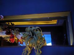 -江南足纪·影院足道·轻奢SPA(笋岗HALO广场店)