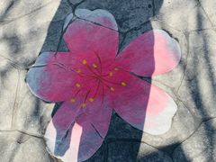 -高东镇樱花园