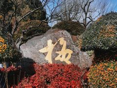 -无锡梅园公园