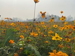 -中国天府农业博览园