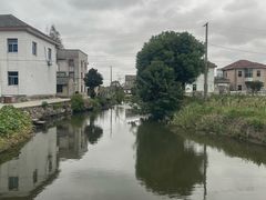 -上海佘山国家森林公园天马山园