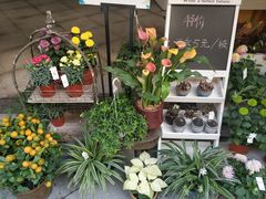 -格蕾花坊(民盈·国贸城店)
