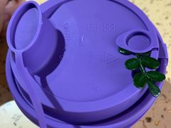 发芽甜瓜-HANA COFFEE(长寿路店)