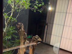 -浩运·海鲜青岛菜·海胆水饺(石老人店)