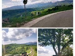 -中华福寿山