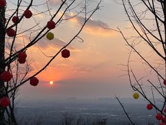 -牛首山文化旅游区