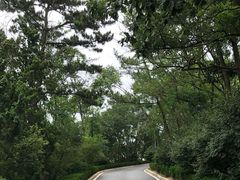 -棒棰岛宾馆景区
