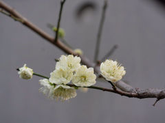 -静安雕塑公园