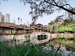 -重庆彩云湖湿地公园