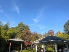 -深业半汤御泉庄温泉