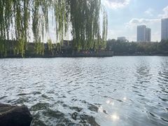 -月湖公园