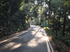 -三门江国家森林公园