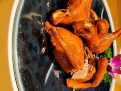 -大鸽饭(马王堆店)