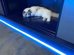 -零纪元VR体验馆·桌游(黄浦店)