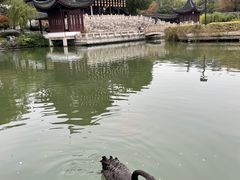 -苏州吴宫泛太平洋酒店
