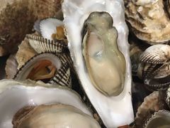 -宾朋海鲜特色美食餐厅·纯手工鲅鱼水饺(兴海路店)