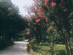 -青岛中山公园-索道售票处