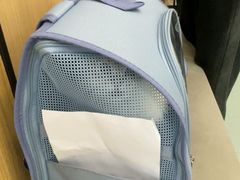 -瑞派·关忠动物医院·猫专科·犬专科(三环新城店)