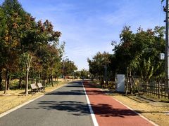 -上海长兴岛郊野公园