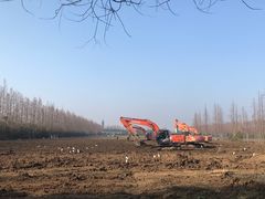 -上海长兴岛郊野公园