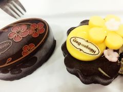 冰淇淋月饼-哈根达斯(龙湖时代天街店)