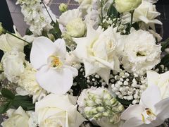 -拾花记花艺·求婚·订婚·生日布置(高新店)