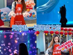 -海合安成都极地海洋公园