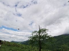 -硗碛藏寨·神木垒景区