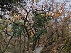 -灵岩山风景区