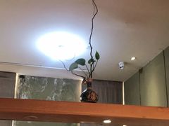 -御手国医·古法经络调理(光华店)