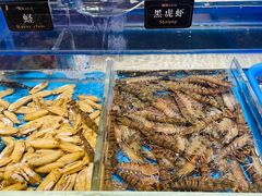 -加餐海鲜自助(宝龙一城店)