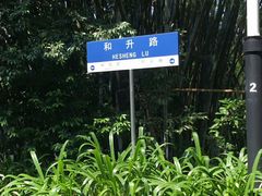 -广州市帽峰山景区