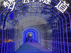 -横店影视城梦幻谷园区