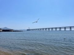 -星海湾跨海大桥