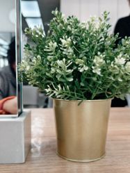 -Z.X HAIR SALON张新美业