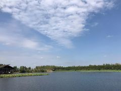 -溱湖国家湿地公园