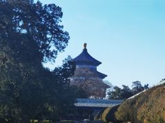 -大碗居·烤鸭·鱼头泡饼(天坛东门店)