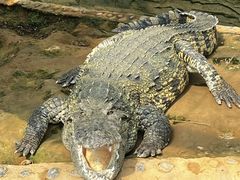 -石家庄市动物园