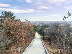 -北京西山国家森林公园