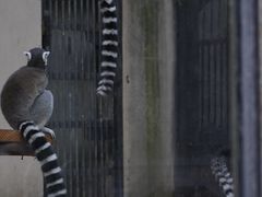 -保定市动物园