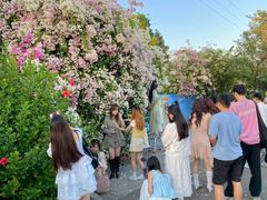 -一滴墨照相馆·证件照·形象照·领证跟拍(民耀路店)