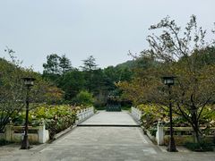 -富乐山