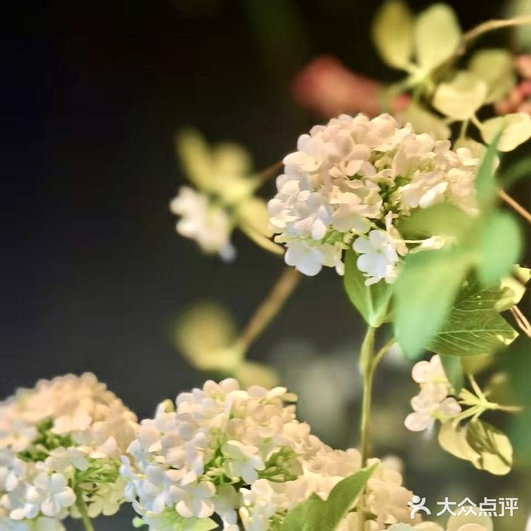 520约会圣地！宁波这家高端泰料美到窒息！