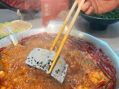 -渝大龙重庆火锅(温泉月亮湾店)