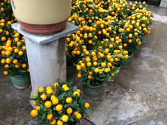 -细村农贸综合市场