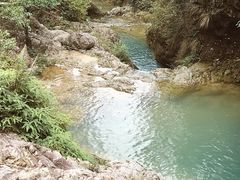 -南海湾森林生态园